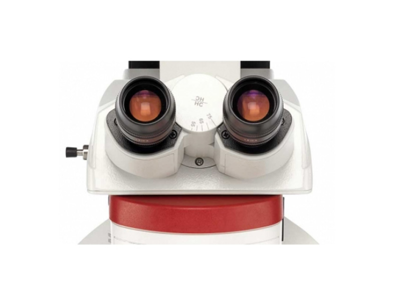 DM4 M ��DM 6 M ���ò����@΢�R